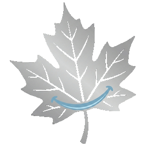 حسینی